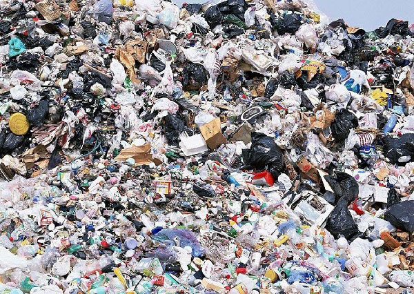 The Significance of Degradable Plastic Bags