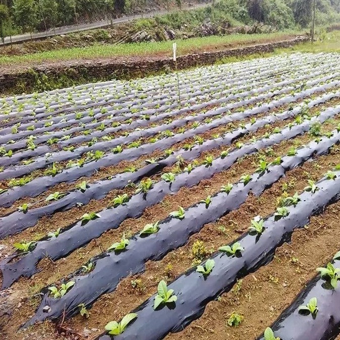 Fully Biodegradable Mulch Films